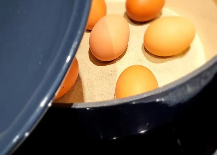 Gamshag Saalbach-Hinterglemm